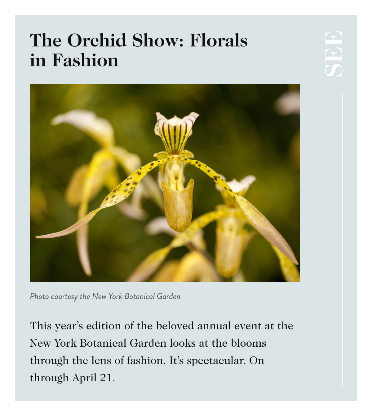 The Orchid Show: Florals in Fashion