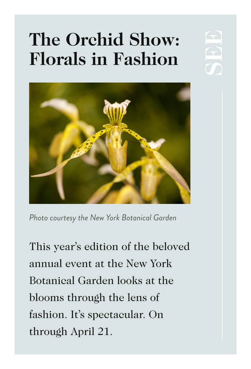 The Orchid Show: Florals in Fashion