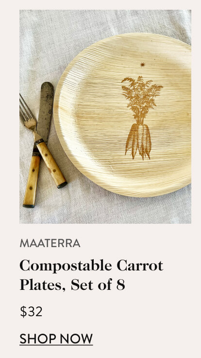 Compostable Carrot Plates, Set of 8