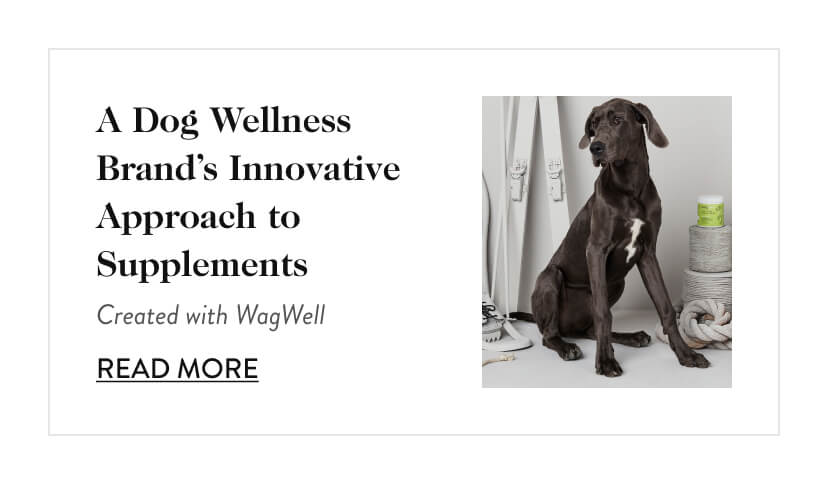 A Dog Wellness Brand's Innovative Approach to Supplements