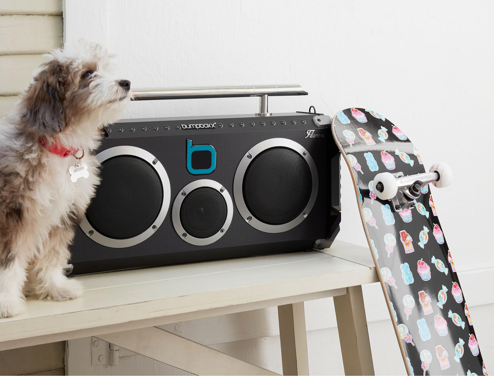 dog and boombox