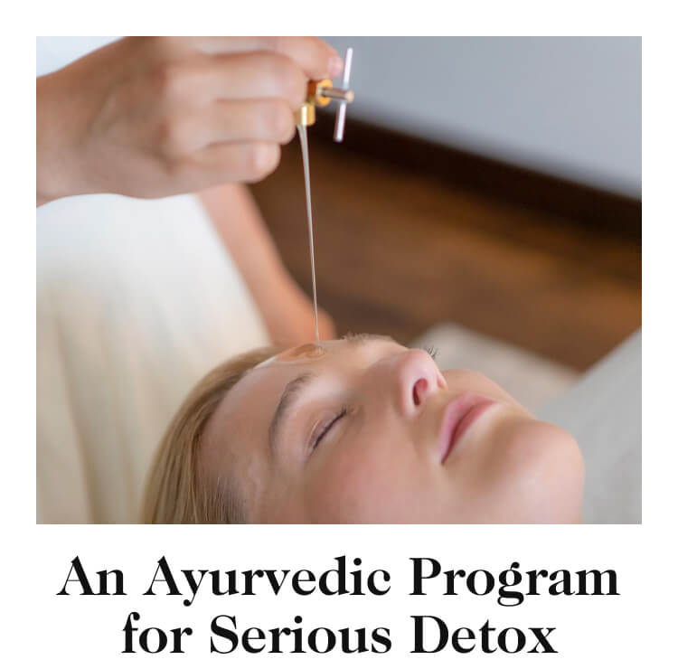 An Ayurvedic Program for Serious Detox